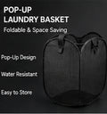 FlexPop Laundry Basket